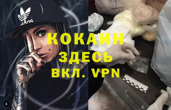 индика Балахна