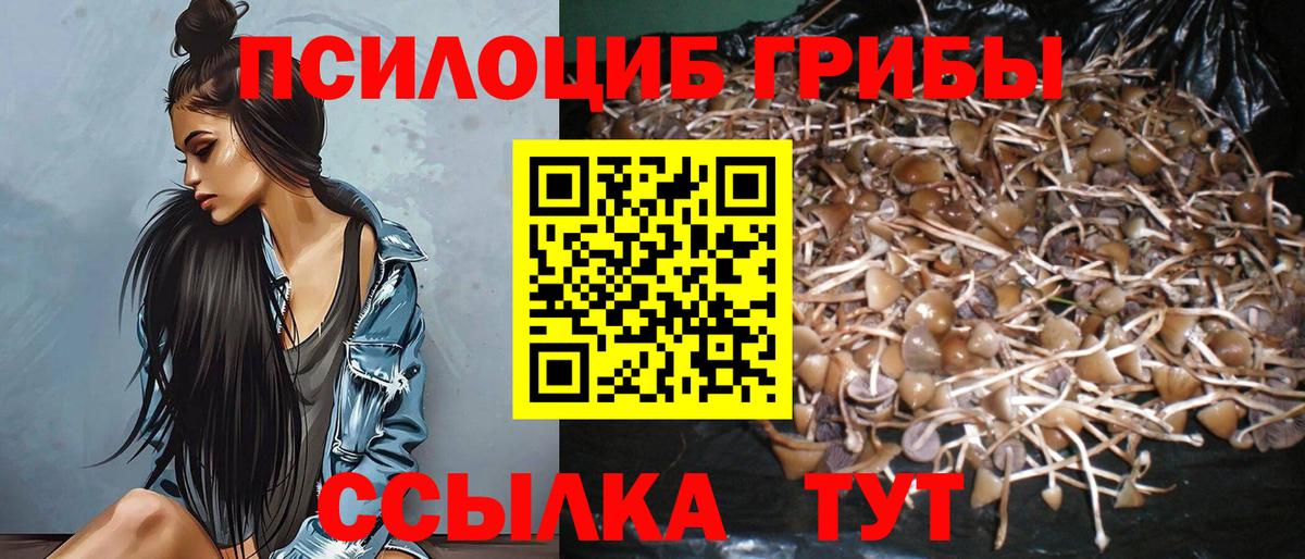 Псилоцибиновые грибы ЛСД  Вход с VPN  Ейск 