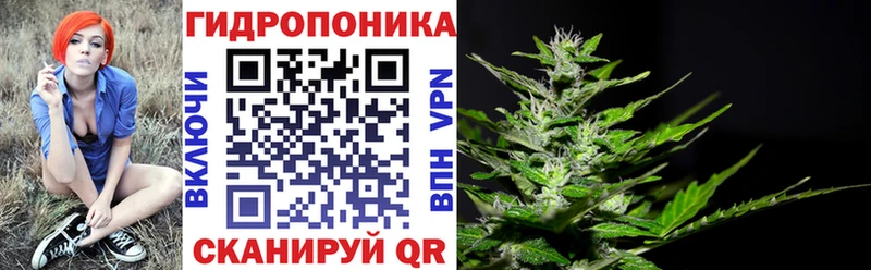 Шишки марихуана OG Kush  Ейск 